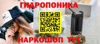 jwh Пыть-Ях