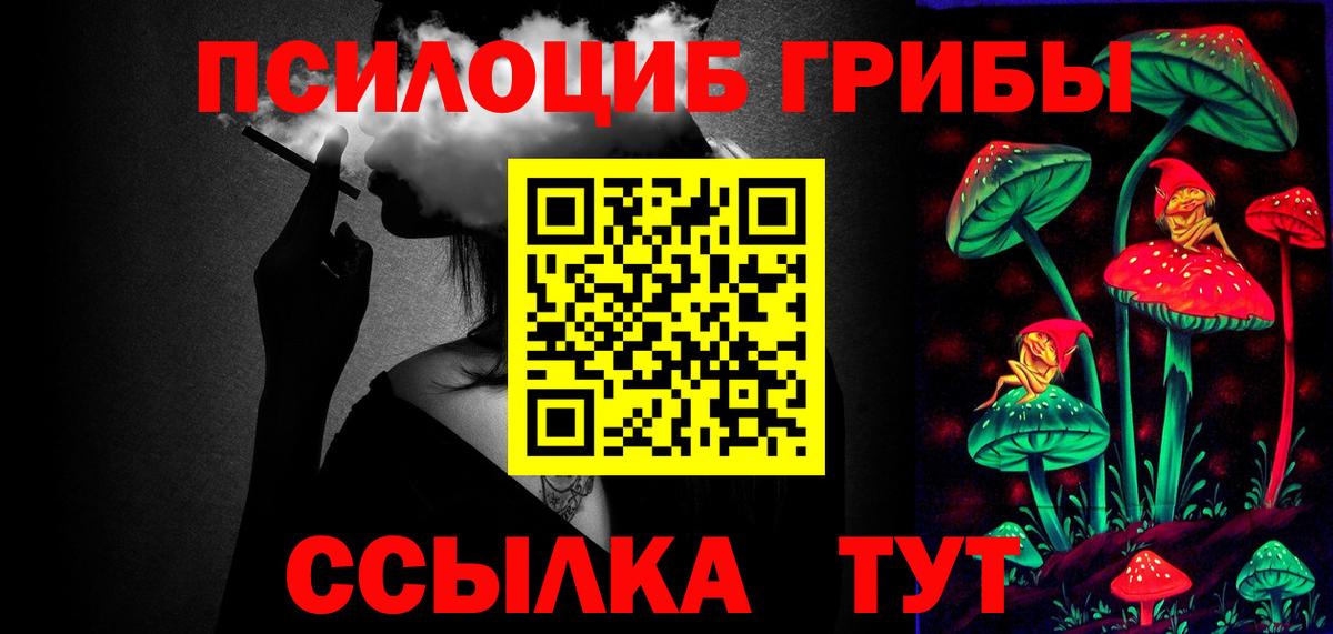 Саянск  Псилоцибиновые грибы прущие грибы  Вход с VPN 