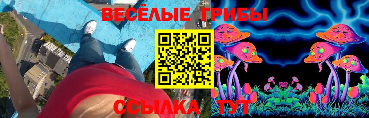 Псилоцибиновые грибы MAGIC MUSHROOMS Саянск